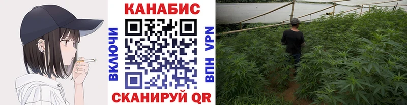 Шишки марихуана Amnesia  цена наркотик  Апрелевка 